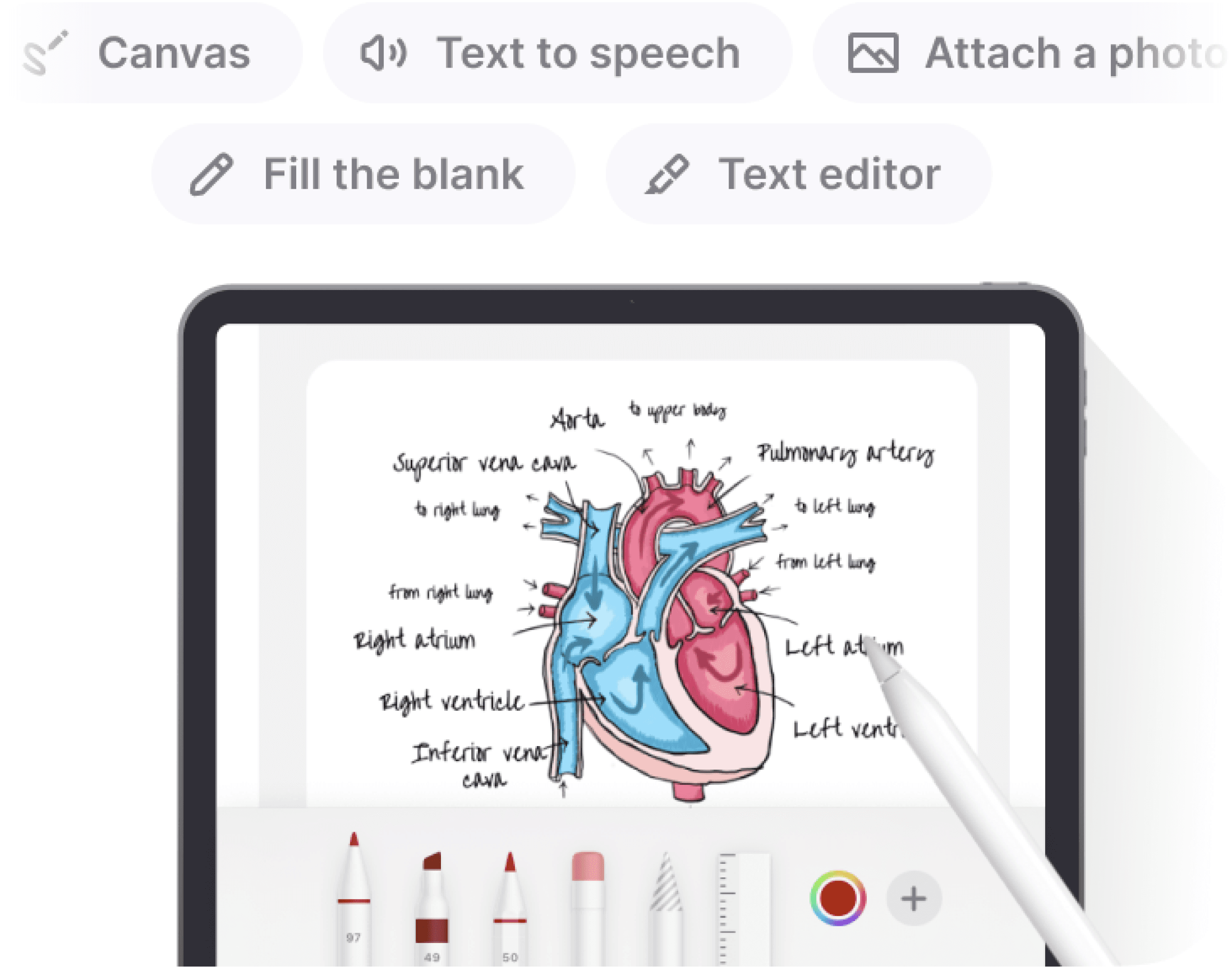 Create flashcards the way you want